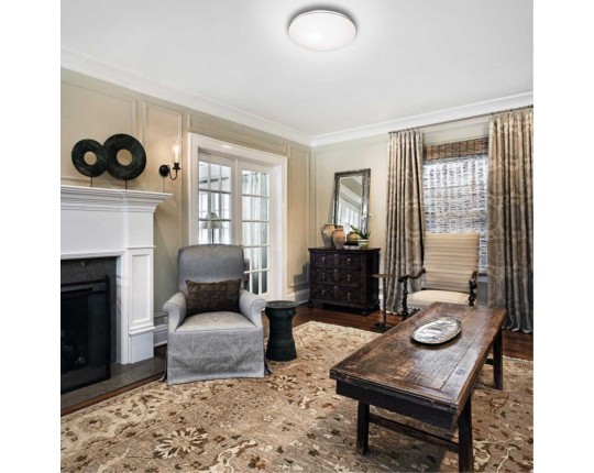 Настенно-потолочный светильник Sonex PALE 2051/DLN