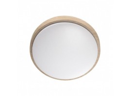 Настенно-потолочный светодиодный светильник Sonex Losta 7607/EL