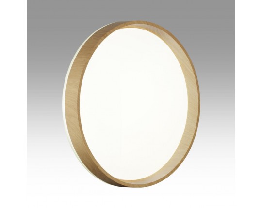 Настенно-потолочный светильник Sonex BASICA 7684/ELN