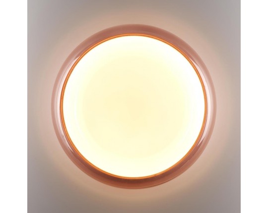 Настенно-потолочный светильник Sonex PORTMAN 7778/ELN