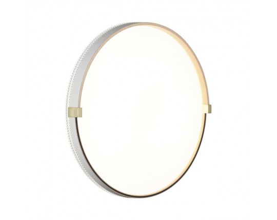 Настенно-потолочный светильник Sonex OLIDI WHITE 7646/DLN