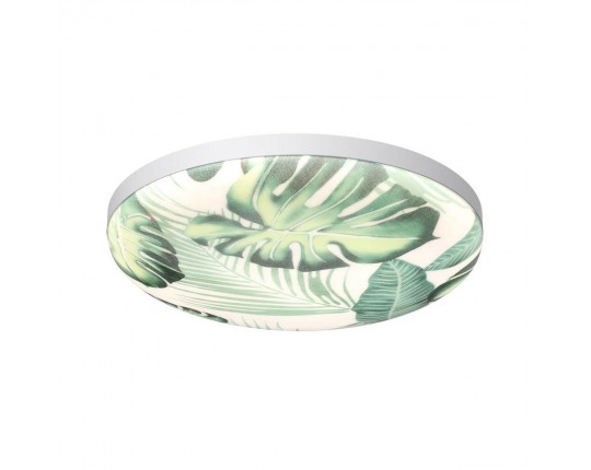 Настенно-потолочный светодиодный светильник Sonex Pale Flori 7748/DL