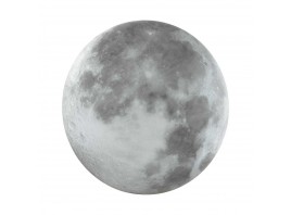 Настенно-потолочный светильник Sonex MOON 3084/DLN
