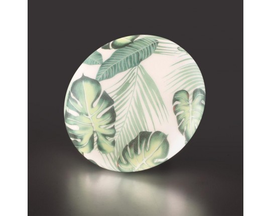 Настенно-потолочный светодиодный светильник Sonex Pale Flori 7748/CL