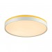Настенно-потолочный светодиодный светильник Sonex Color Kezo Yellow 7709/DL