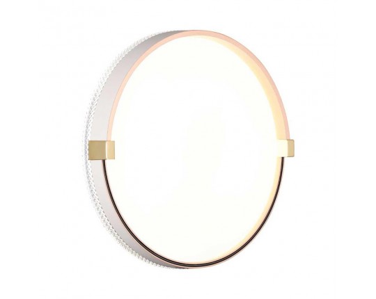Настенно-потолочный светодиодный светильник Sonex Pale Olidi White 7646/CL
