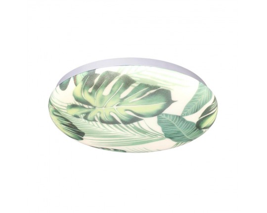 Настенно-потолочный светодиодный светильник Sonex Pale Flori 7748/CL