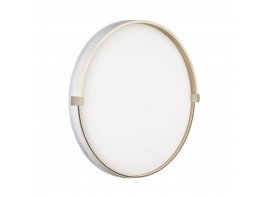 Настенно-потолочный светильник Sonex OLIDI WHITE 7646/DLN