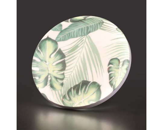 Настенно-потолочный светодиодный светильник Sonex Pale Flori 7748/DL