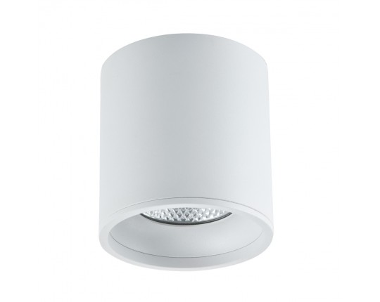 ST165.542.12 Светильник потолочный Белый LED 1*12W 4000K 840Lm Ra>90 36° IP44 D80xH85 85-265V