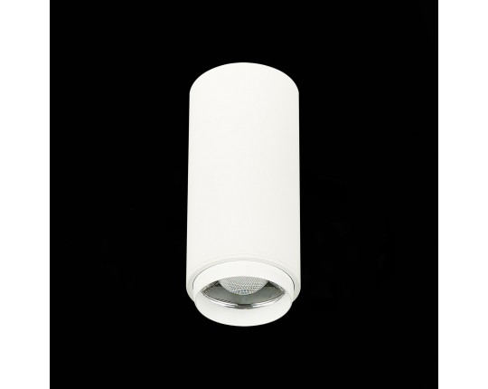 ST600.542.10 Светильник потолочный Zoom Белый LED 1*10W 4000K 1 000Lm Ra>80 15-60° IP20 D59xH130 170