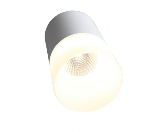 ST100.502.10 Светильник потолочный Белый LED 1*10W 3000K 780Lm Ra>80 120° D78xH135 170-240V