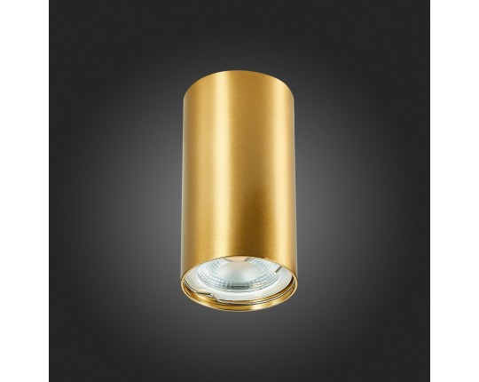 ST110.207.01 Светильник потолочный Золотистый GU10 1*50W  IP20 D54xH100 220V Без ламп