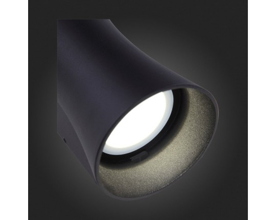 SL088.401.02 Светильник уличный настенный ST-Luce Черный кварцевый LED 2*5W 4000K
