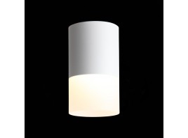 ST100.502.10 Светильник потолочный Белый LED 1*10W 3000K 780Lm Ra>80 120° D78xH135 170-240V