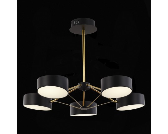 SLE6005-402-05 Светильник потолочный Черный, Золотистый/Черный LED 5*10W