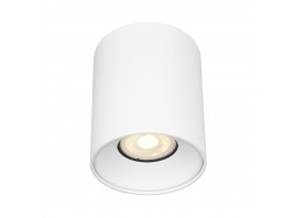 ST167.502.01 Светильник потолочный Белый GU10 1*50W IP20 D80xH95 220V Без ламп