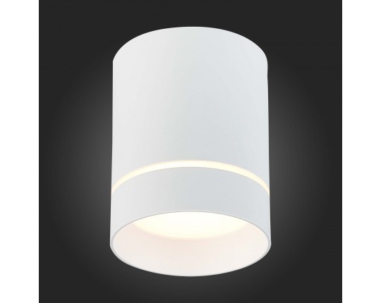 ST115.532.12 Светильник потолочный Белый LED 1*12W 3000K 840Lm Ra>90 120° IP20 D79xH100 170-240V