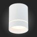 ST115.532.12 Светильник потолочный Белый LED 1*12W 3000K 840Lm Ra>90 120° IP20 D79xH100 170-240V