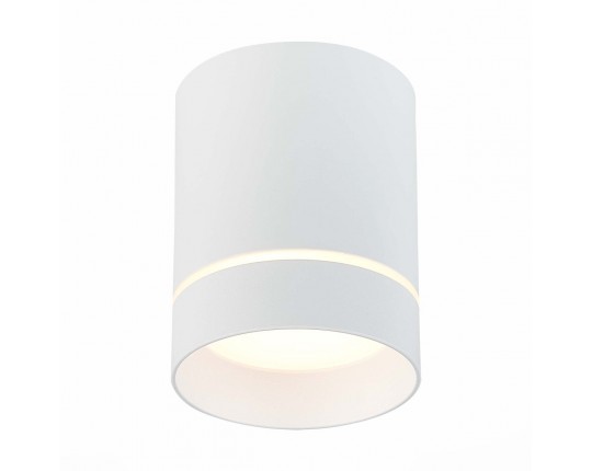 ST115.532.12 Светильник потолочный Белый LED 1*12W 3000K 840Lm Ra>90 120° IP20 D79xH100 170-240V