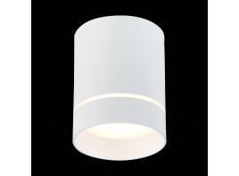 ST115.532.12 Светильник потолочный Белый LED 1*12W 3000K 840Lm Ra>90 120° IP20 D79xH100 170-240V