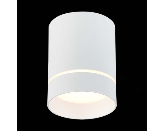 ST115.532.12 Светильник потолочный Белый LED 1*12W 3000K 840Lm Ra>90 120° IP20 D79xH100 170-240V
