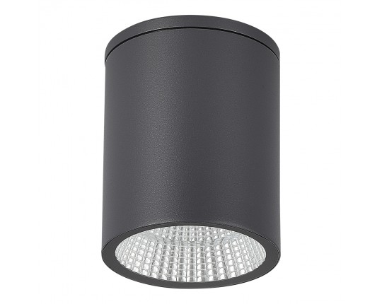 SL9514.712.01 Светильник уличный потолочный ST-Luce серый/белый LED 1*12W 3000K/4000K/6500K