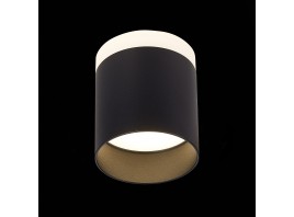 ST102.442.12 Светильник потолочный Черный LED 1*12W 4000K 936Lm Ra>80 120° IP20 D100xH90 170-240V