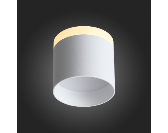 ST102.502.12 Светильник потолочный Белый LED 1*12W 3000K 936Lm Ra>80 120° IP20 D100xH90 170-240V