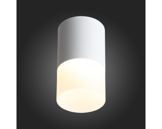 ST100.502.10 Светильник потолочный Белый LED 1*10W 3000K 780Lm Ra>80 120° D78xH135 170-240V