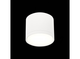 ST113.542.09 Светильник потолочный Белый LED 1*9W 4000K 702Lm Ra>90 120° IP20 D88xH75 170-240V
