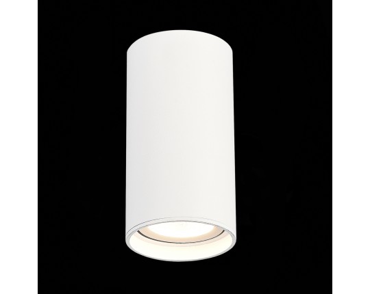 ST157.542.15 Светильник потолочный Белый LED 1*15W 4000K 1 200Lm Ra>90 60° IP44 D75xH140 220-265V