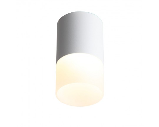 ST100.502.10 Светильник потолочный Белый LED 1*10W 3000K 780Lm Ra>80 120° D78xH135 170-240V