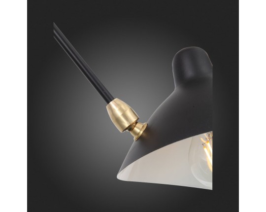 SL305.402.06 Люстра потолочная ST-Luce Черный/Черный, Белый E27 6*60W