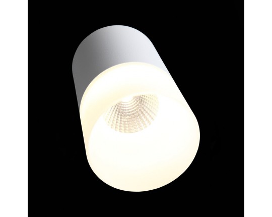 ST100.502.10 Светильник потолочный Белый LED 1*10W 3000K 780Lm Ra>80 120° D78xH135 170-240V