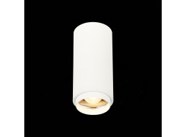 ST600.532.10 Светильник потолочный Zoom Белый LED 1*10W 3000K 1 000Lm Ra>80 15-60° IP20 D59xH130 170