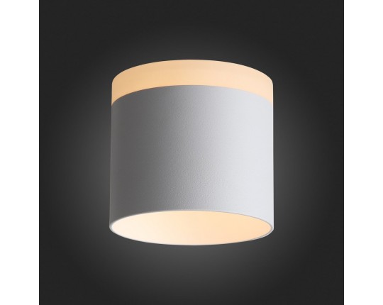 ST102.502.12 Светильник потолочный Белый LED 1*12W 3000K 936Lm Ra>80 120° IP20 D100xH90 170-240V