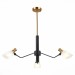 SLE205403-03 Светильник подвесной Черный, Латунь/Белый E14 3*60W