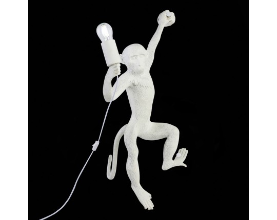 SLE115111-01 Светильник настенный Белый E27 1*60W