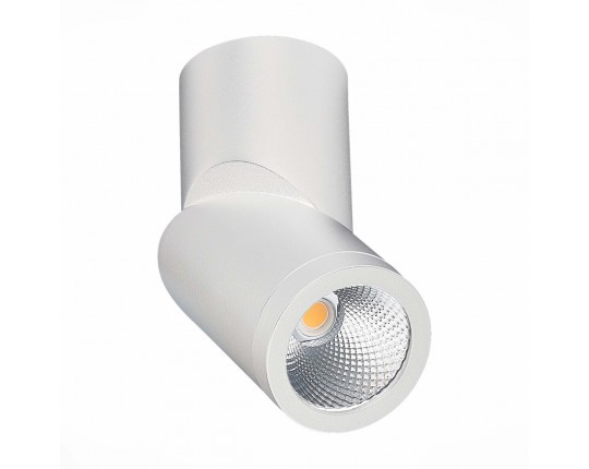 ST650.542.10 Светильник потолочный Белый LED 1*10W 4000K 800Lm Ra>90 38° IP44 D62xH151 165-265V