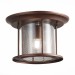 SL080.402.01 Светильник уличный потолочный ST-Luce Темный кофе/Прозрачный, Темный кофе E27 1*60W