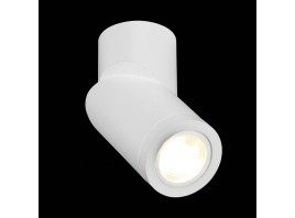ST650.502.01 Светильник потолочный Белый GU10 1*50W IP20 D62xH151 180-240V Без ламп