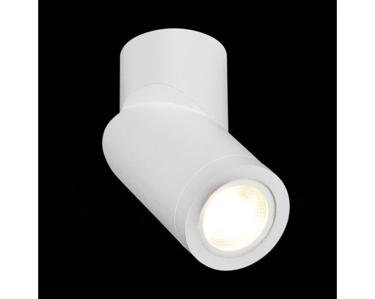 ST650.502.01 Светильник потолочный Белый GU10 1*50W IP20 D62xH151 180-240V Без ламп