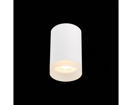 ST100.502.01 Светильник потолочный Белый GU10 1*50W IP20 D64xH99 220V Без ламп