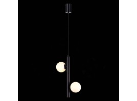 SL1185.403.02 Подвес ST-Luce Черный/Белый G9 LED 2*5W