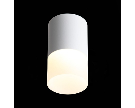 ST100.502.10 Светильник потолочный Белый LED 1*10W 3000K 780Lm Ra>80 120° D78xH135 170-240V