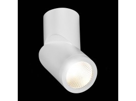 ST650.542.10 Светильник потолочный Белый LED 1*10W 4000K 800Lm Ra>90 38° IP44 D62xH151 165-265V