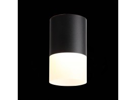 ST100.402.10 Светильник потолочный Черный LED 1*10W 3000K 780Lm Ra>80 120° D78xH135 170-240VV