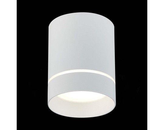 ST115.542.12 Светильник потолочный Белый LED 1*12W 4000K 840Lm Ra>90 120° IP20 D79xH100 170-240V