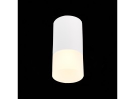 ST100.512.01 Светильник потолочный Белый GU10 1*50W IP20 D64xH131 220V Без ламп